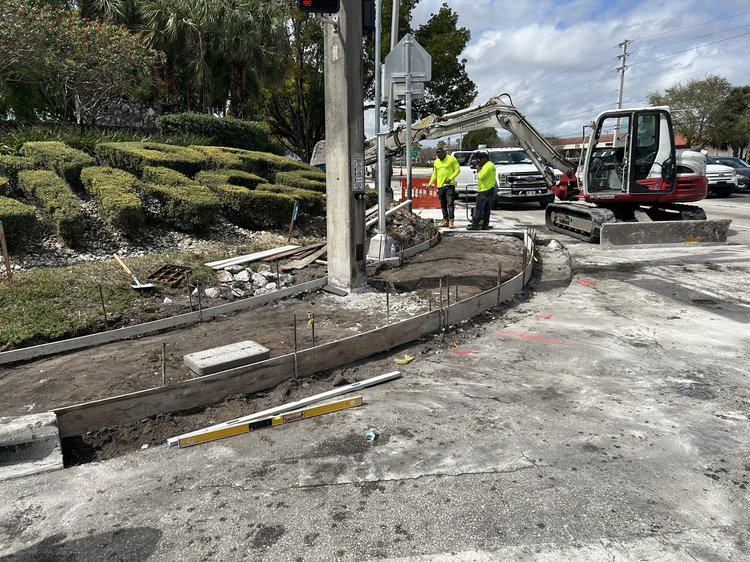 Curb_Ped Reconstruction   February 2025