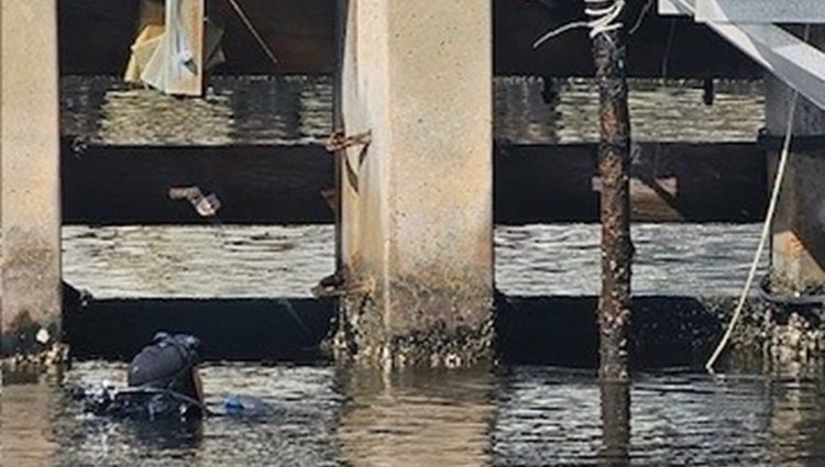 Cutting_Removal of abandoned submarine cable_ Oct24